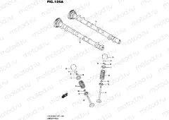 126A - CAMSHAFT/VALVE