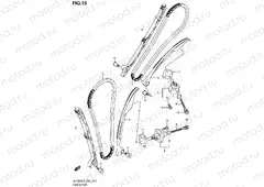 15 - CAM CHAIN