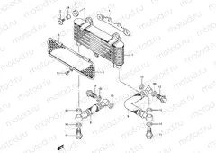 17 - OIL COOLER