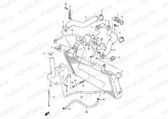 17 - RADIATOR HOSE
