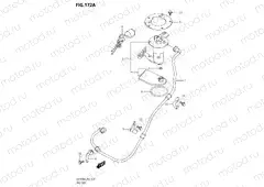 172A - FUEL PUMP