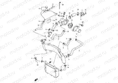 18 - RADIATOR HOSE