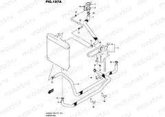 187A - RADIATOR HOSE
