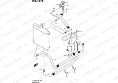 187A - RADIATOR HOSE