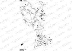 187A - RADIATOR HOSE
