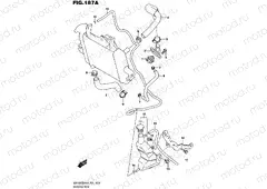 187A - RADIATOR HOSE