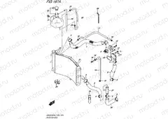 187A - RADIATOR HOSE