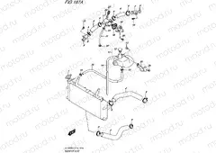 187A - RADIATOR HOSE