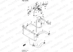 187A - RADIATOR HOSE