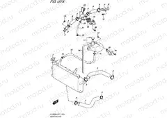 187A - RADIATOR HOSE