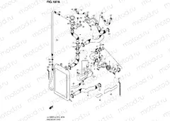 187A - RADIATOR HOSE