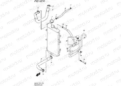 187A - RADIATOR HOSE (AN650L5 E19)