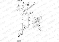 187A - RADIATOR HOSE (AN650L6 E19)
