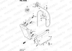 187B - RADIATOR HOSE (VL800L5 E19)