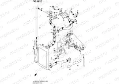 187C - RADIATOR HOSE (VL1500TL4 E33)