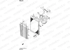 19 - RADIATOR