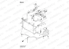 19 - RADIATOR HOSE