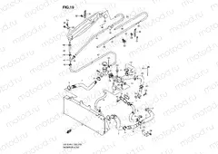 19 - RADIATOR HOSE