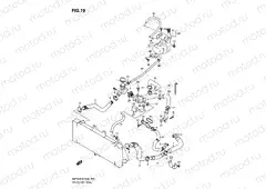 19 - RADIATOR HOSE
