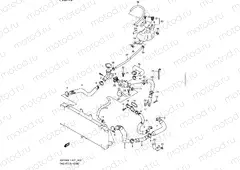 19 - RADIATOR HOSE