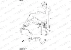 19 - RADIATOR HOSE