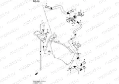 19 - RADIATOR HOSE