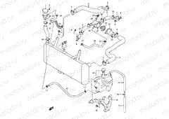 20 - RADIATOR HOSE