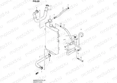 20 - RADIATOR HOSE