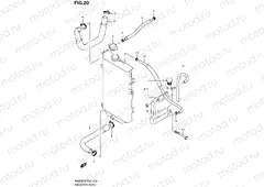 20 - RADIATOR HOSE