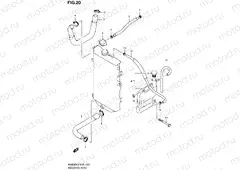 20 - RADIATOR HOSE