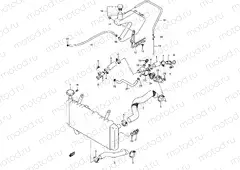 20 - RADIATOR HOSE