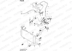 20 - RADIATOR HOSE