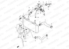 20 - RADIATOR HOSE