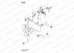 20 - RADIATOR HOSE