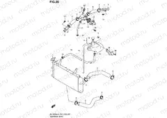 20 - RADIATOR HOSE