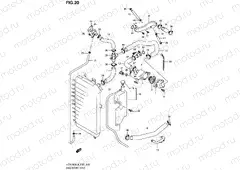 20 - RADIATOR HOSE