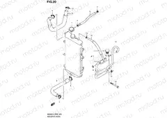20 - RADIATOR HOSE (AN650L4 E02)