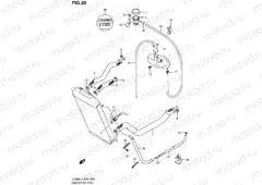 20 - RADIATOR HOSE (VZ800UEL4 E19)