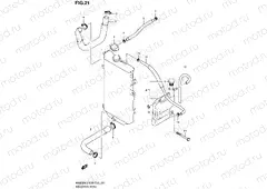 21 - RADIATOR HOSE