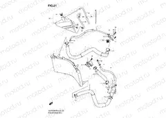 21 - RADIATOR HOSE