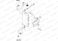 23 - RADIATOR HOSE