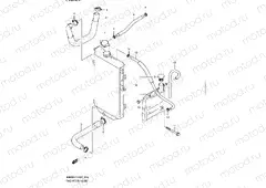24 - RADIATOR HOSE