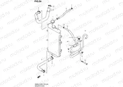 24 - RADIATOR HOSE