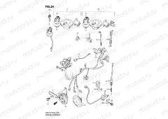 24 - WIRING HARNESS (MODEL V/W/X/Y/K1)