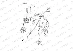 25A - WIRING HARNESS (MODEL R)