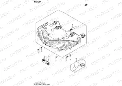 29 - REAR COMBINATION LAMP