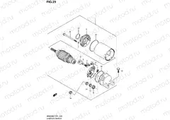 29 - STARTING MOTOR