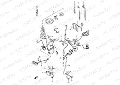 29 - WIRING HARNESS (MODEL W/X/Y/K1/K2)