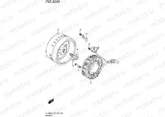 303A - MAGNETO