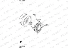303A - MAGNETO